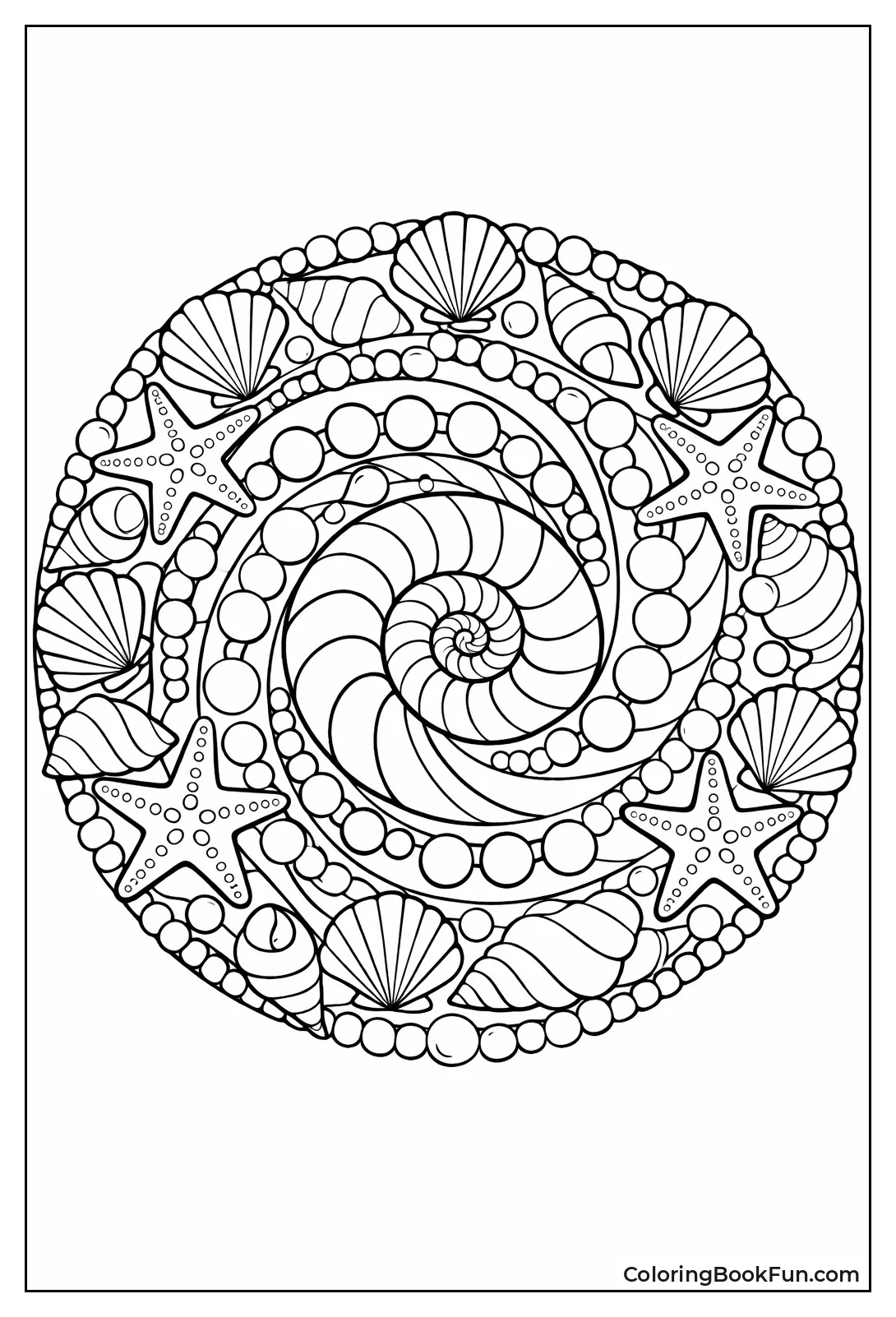 Shells Spiral to Nautilus