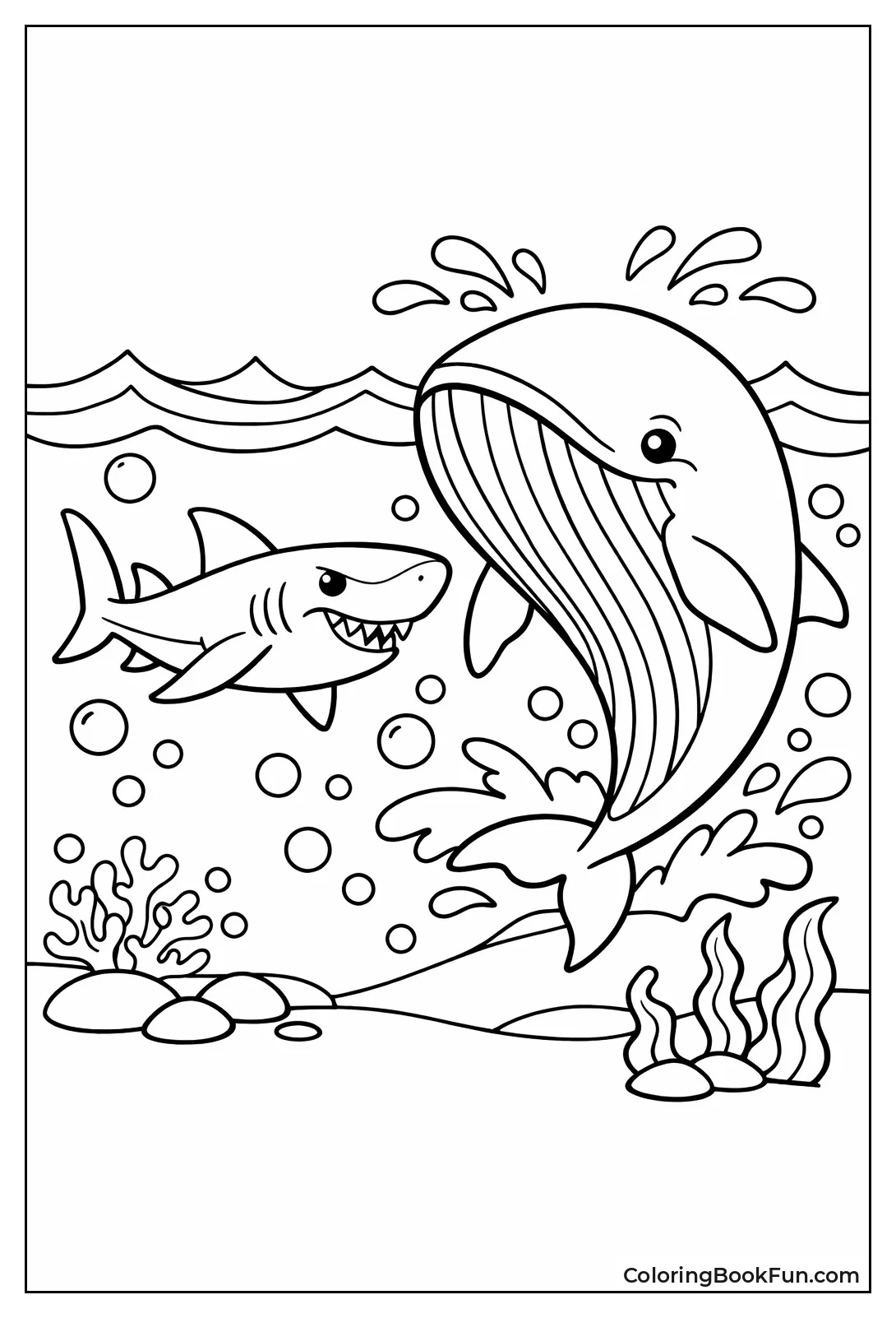 Shark Swims Whale