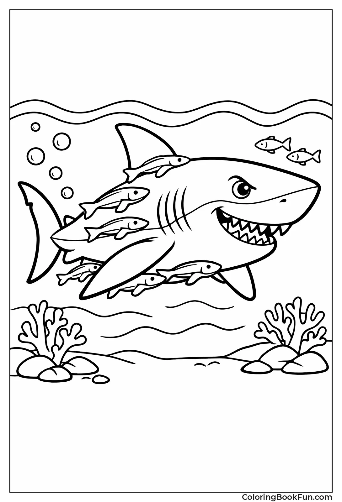 Shark with Remora Friends