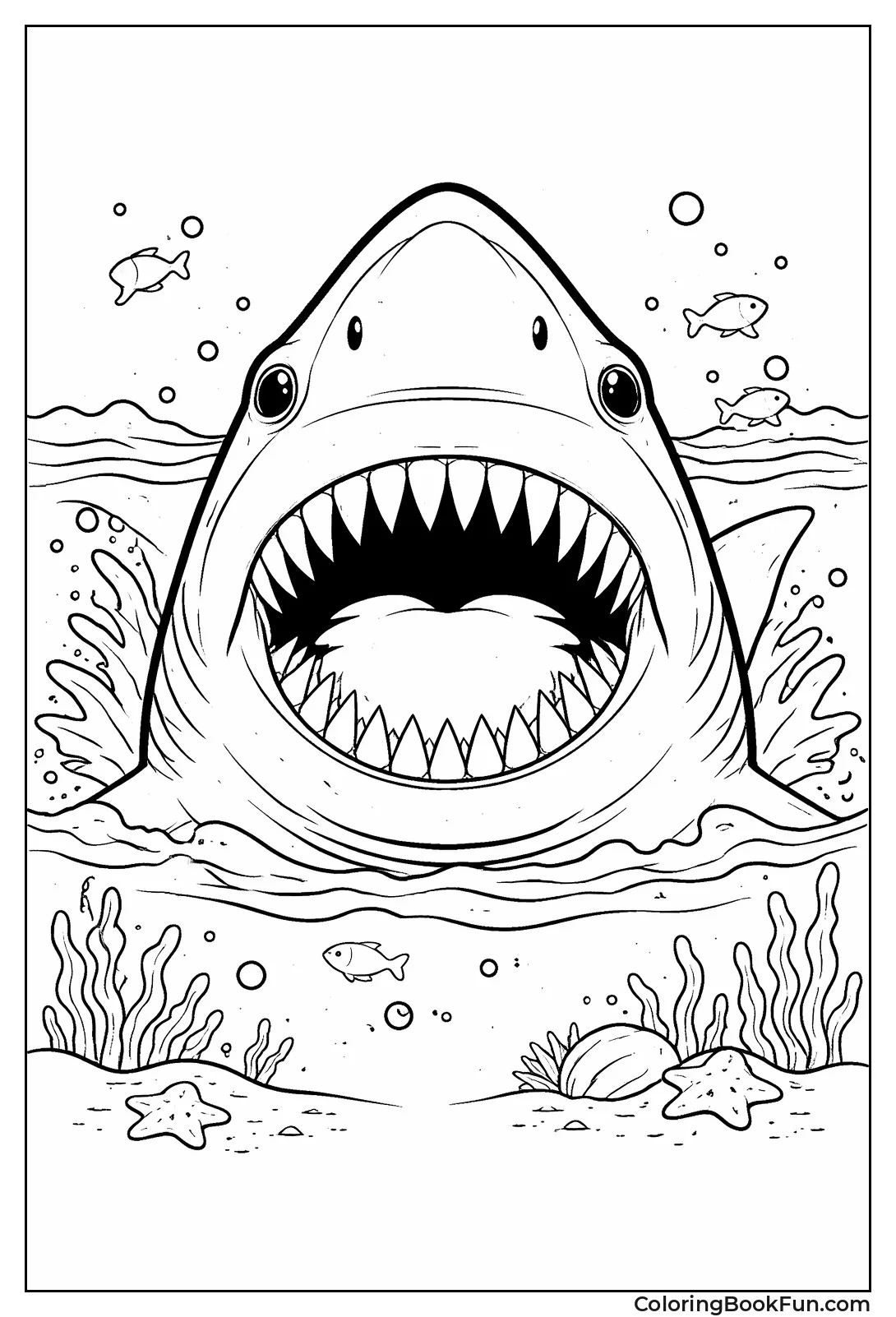 Shark Teeth Rows Close-up