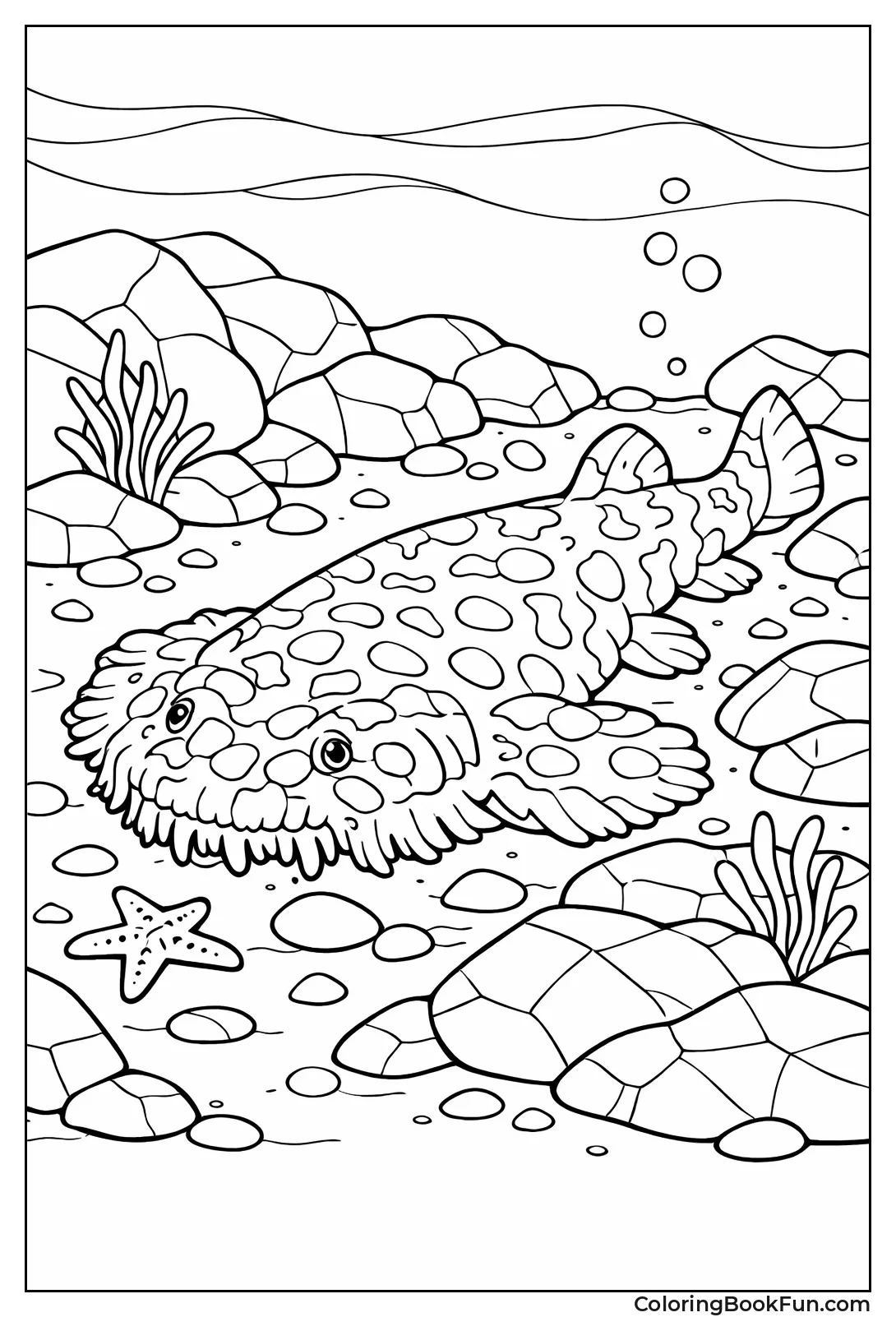 Camouflaged Wobbegong Shark