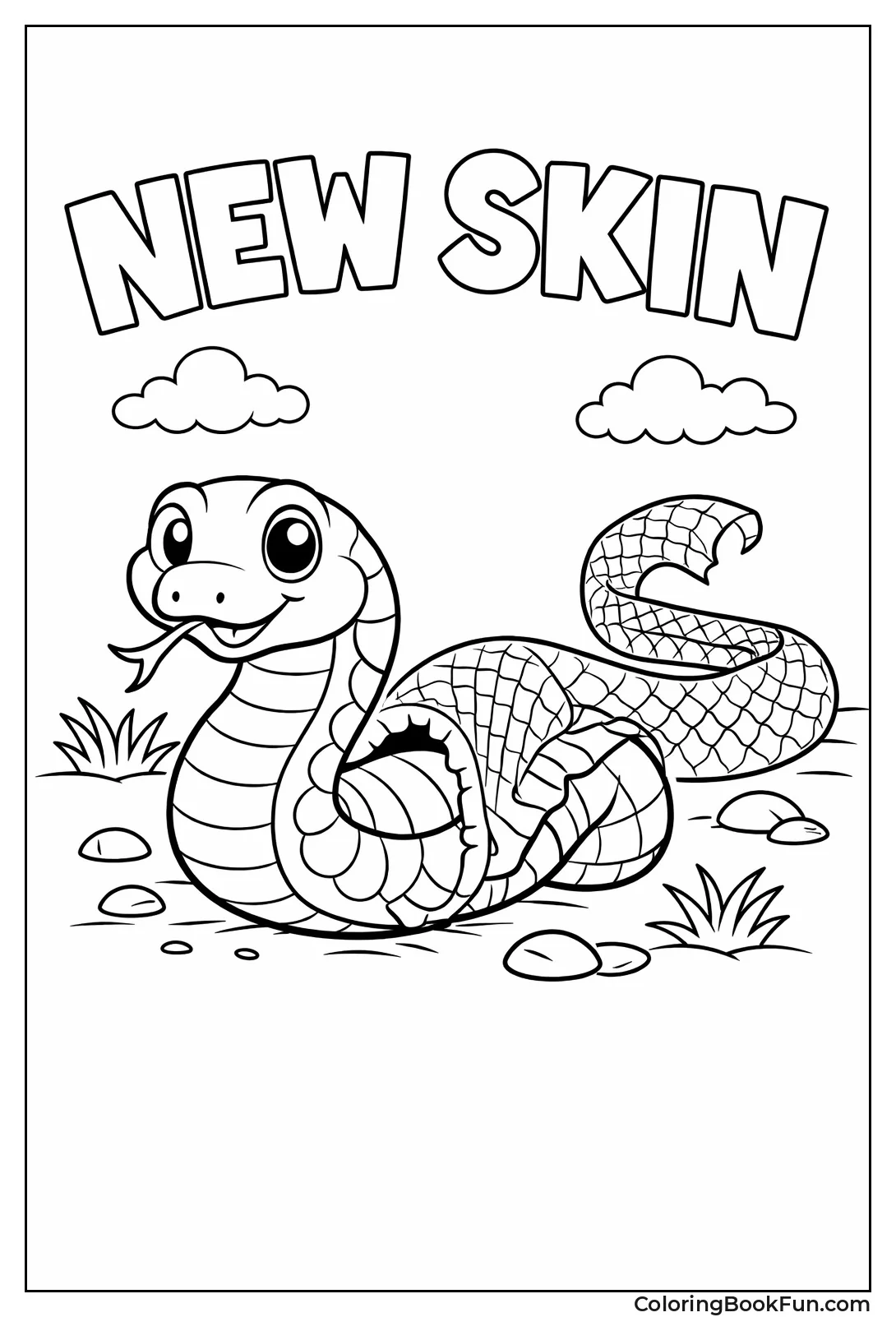 Snake Sheds Old Skin
