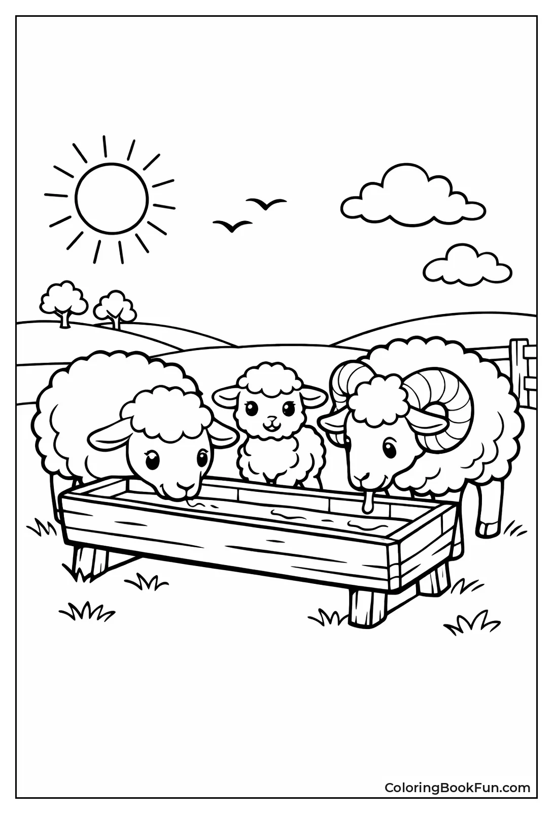 Sheep at Water Trough