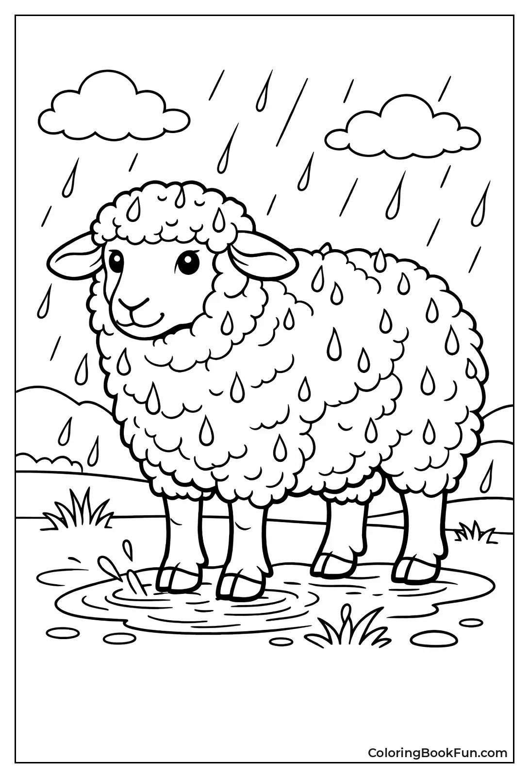 Sheep Standing in Rain