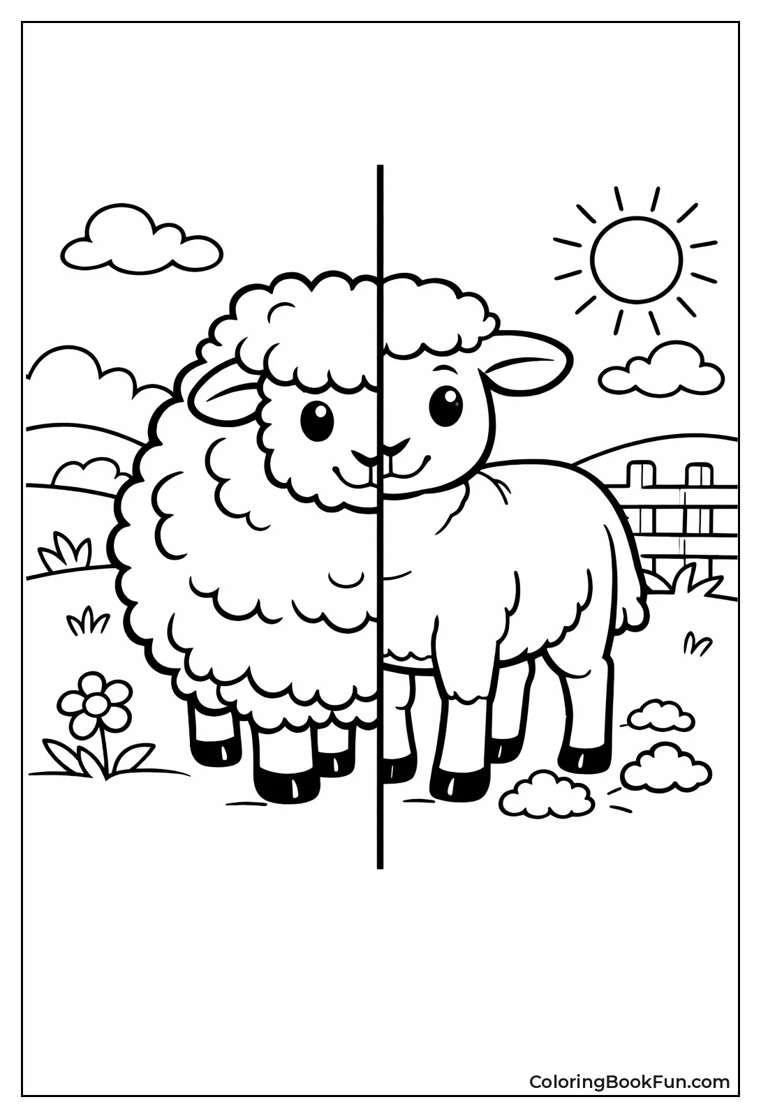 Sheep before and after Shearing