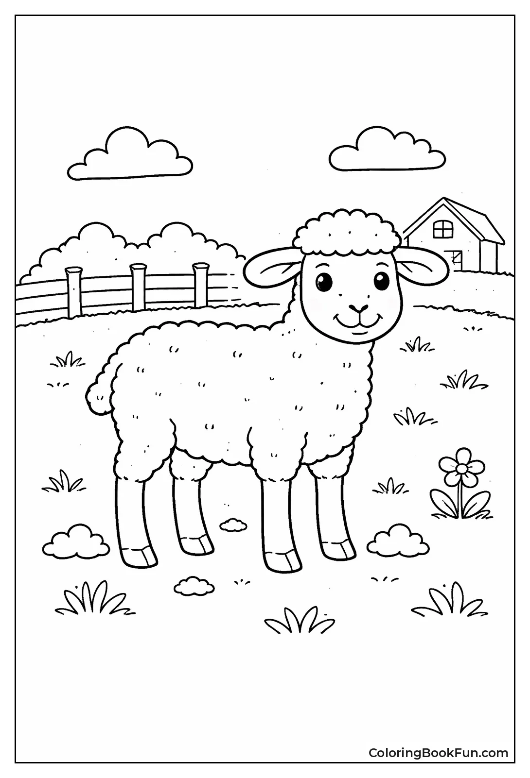 Shorn Sheep with Stubble