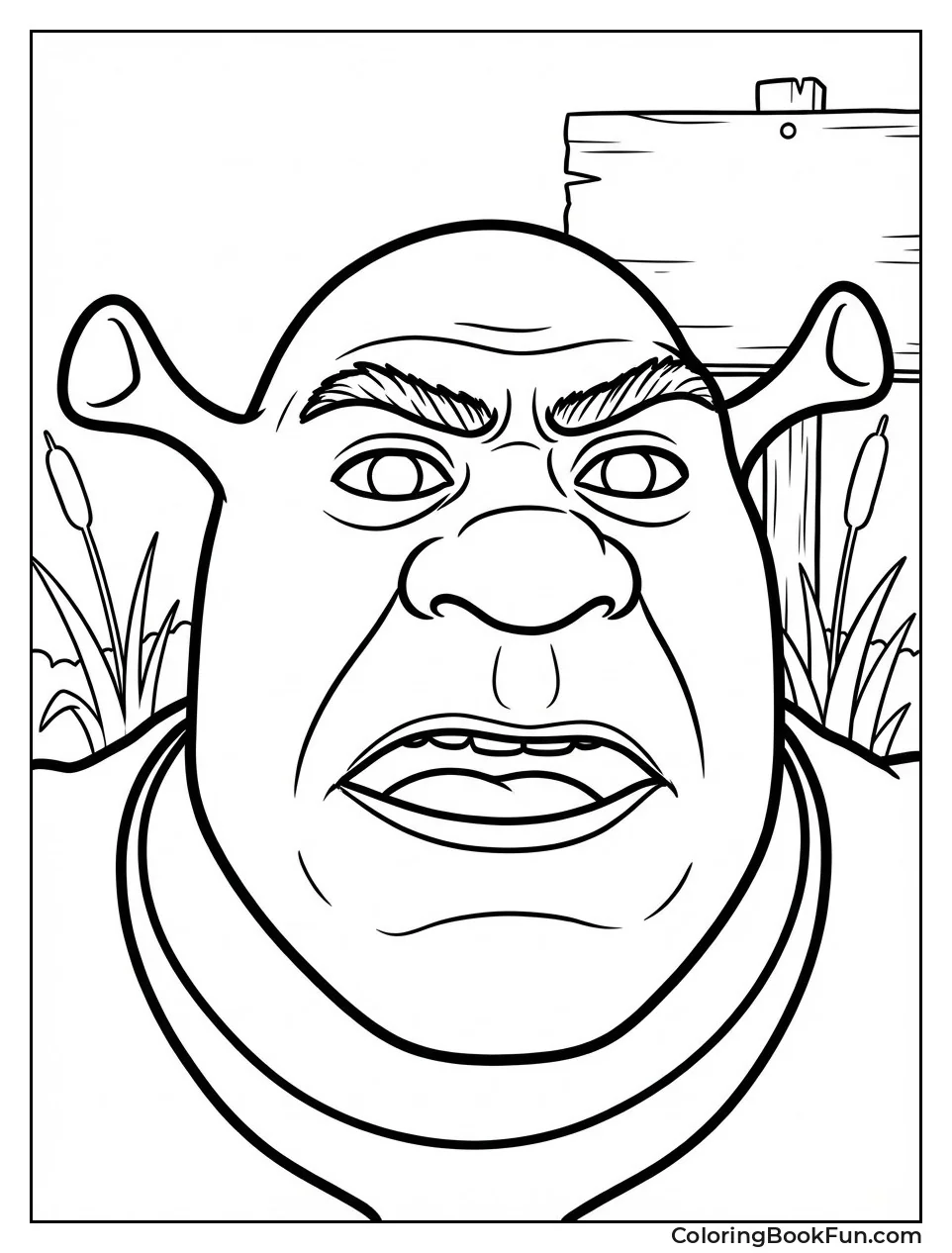 Detailed Shrek Ogre Face