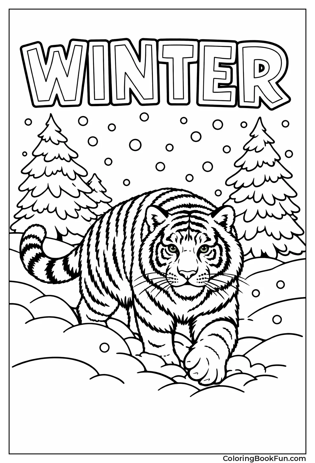 Snowy Siberian Tiger