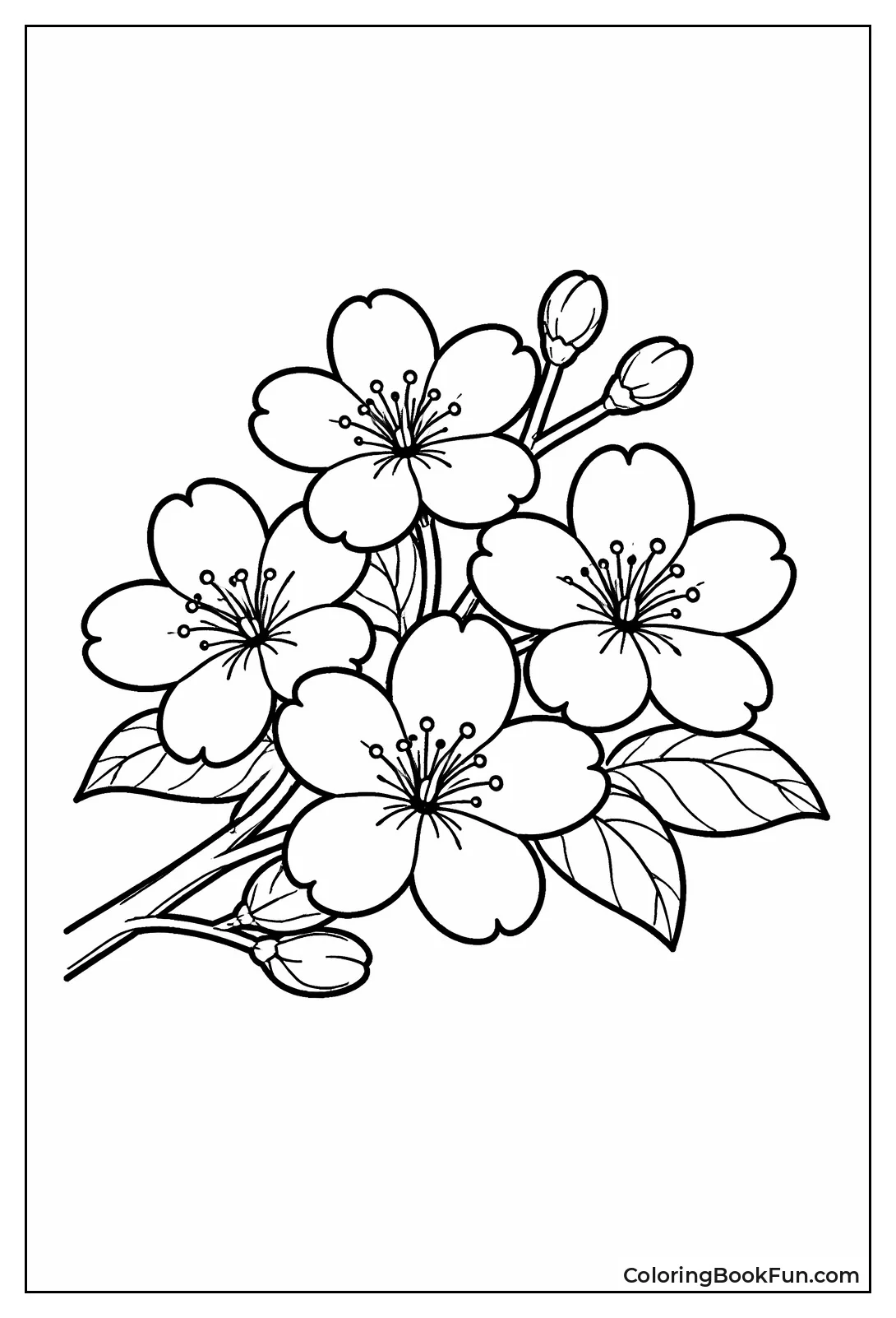 Simple Sakura Cluster