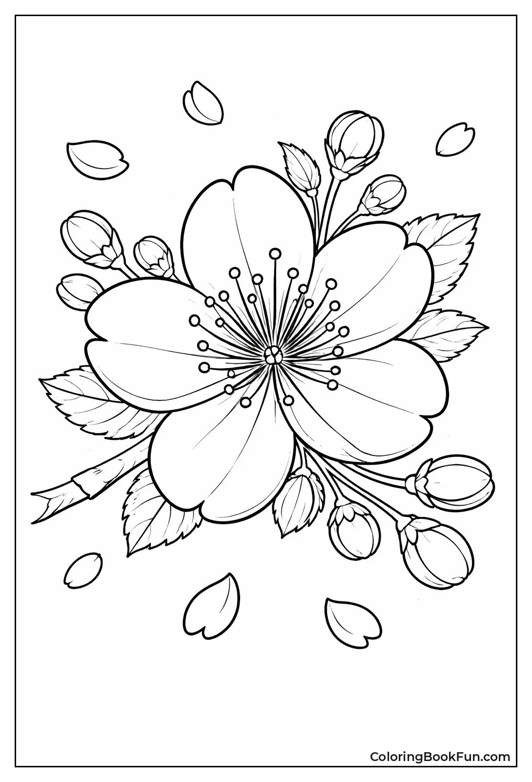 Single Sakura Flower