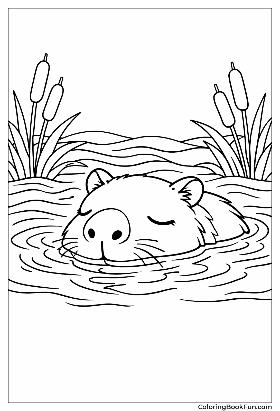 Sleeping Capybara in Water