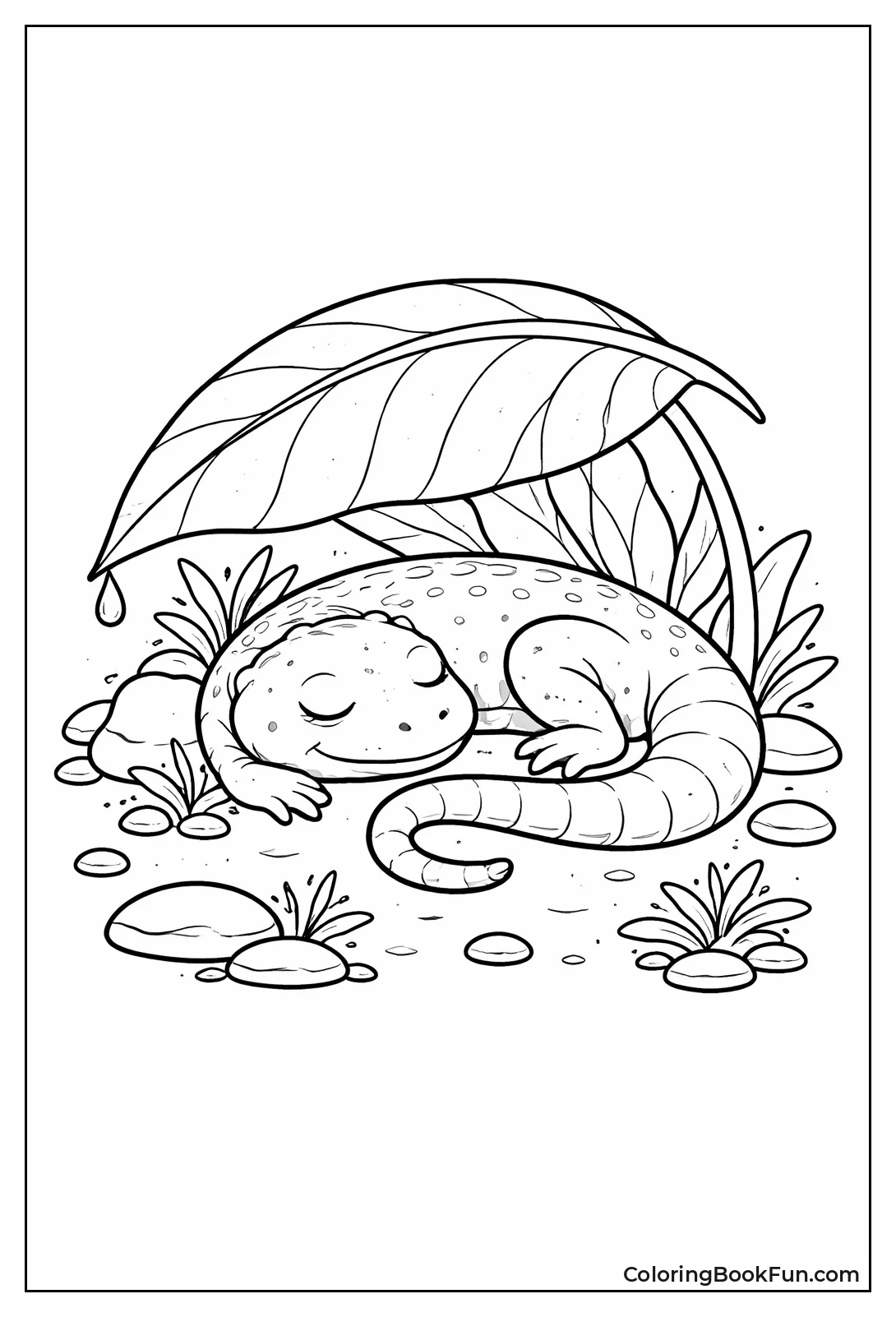 Curled Lizard Sleeps under Leaf