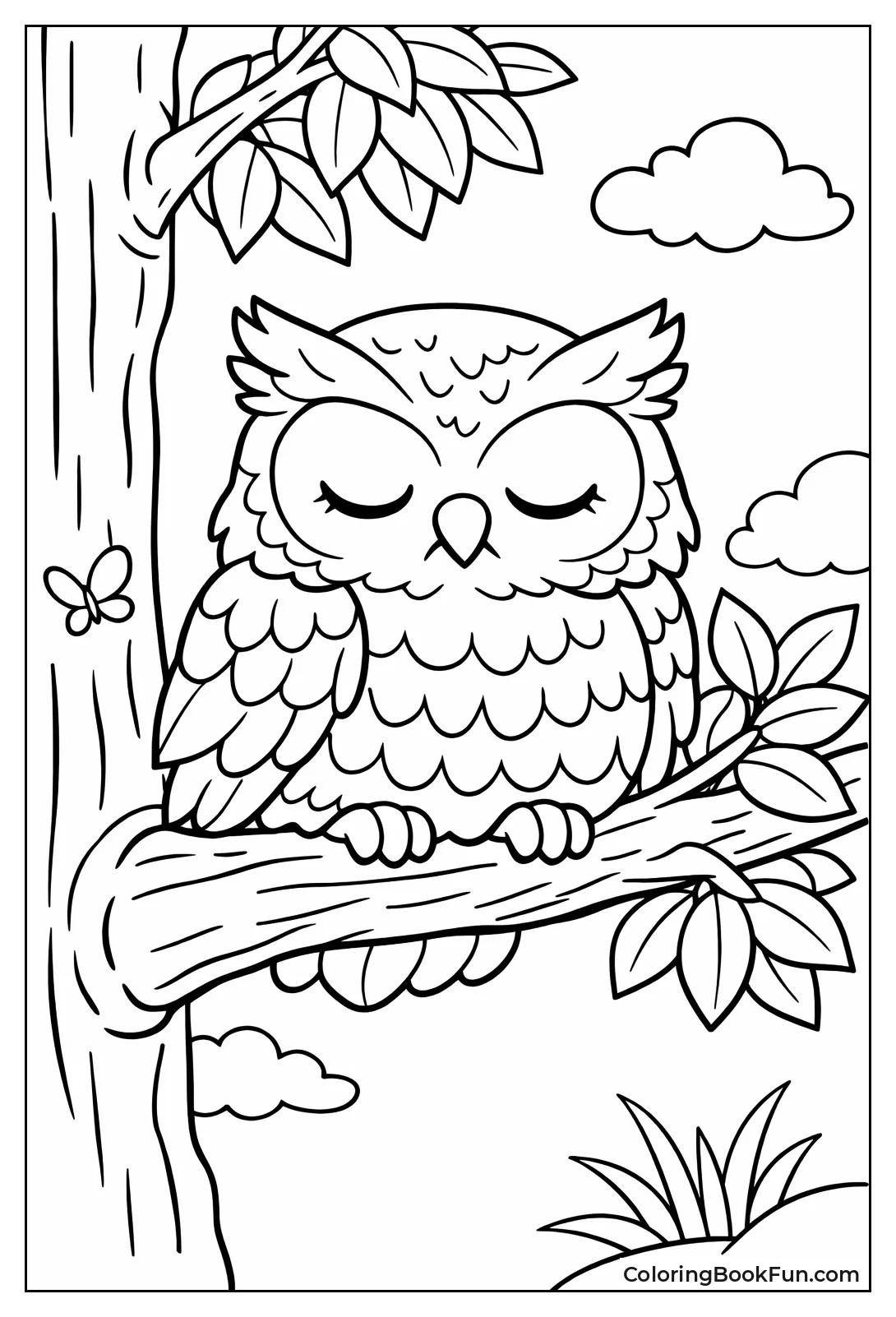 Owl Sleeps on Branch