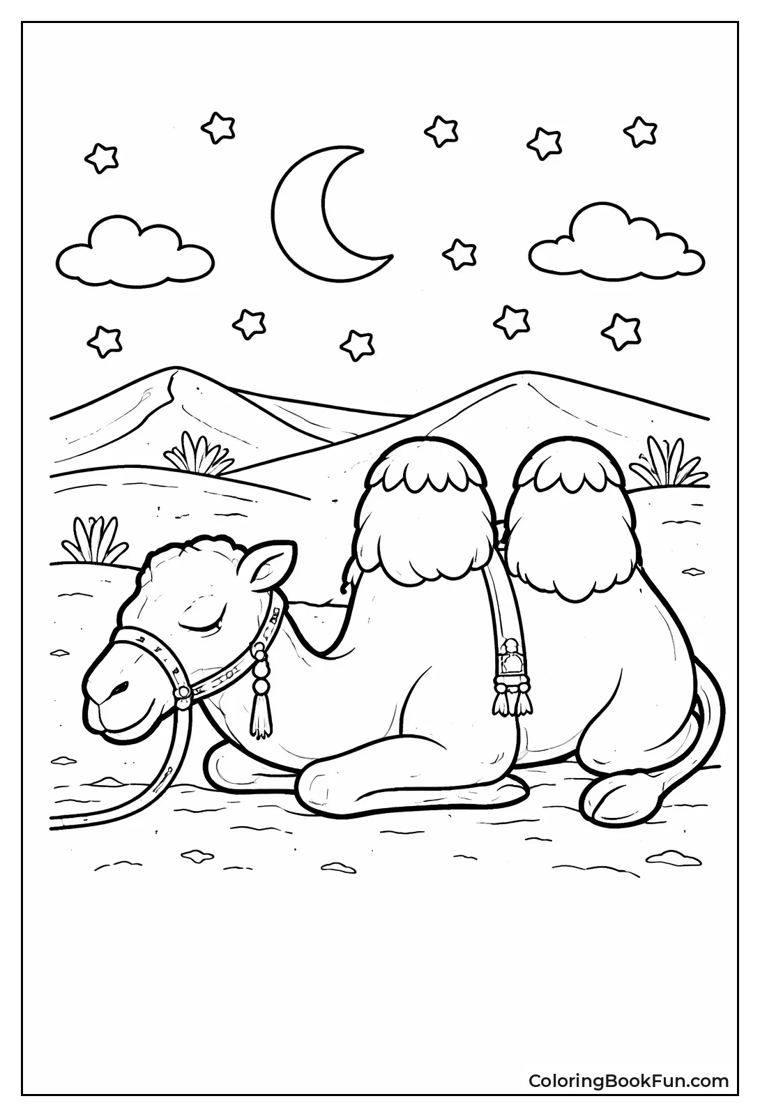 Sleeping Camel under Stars