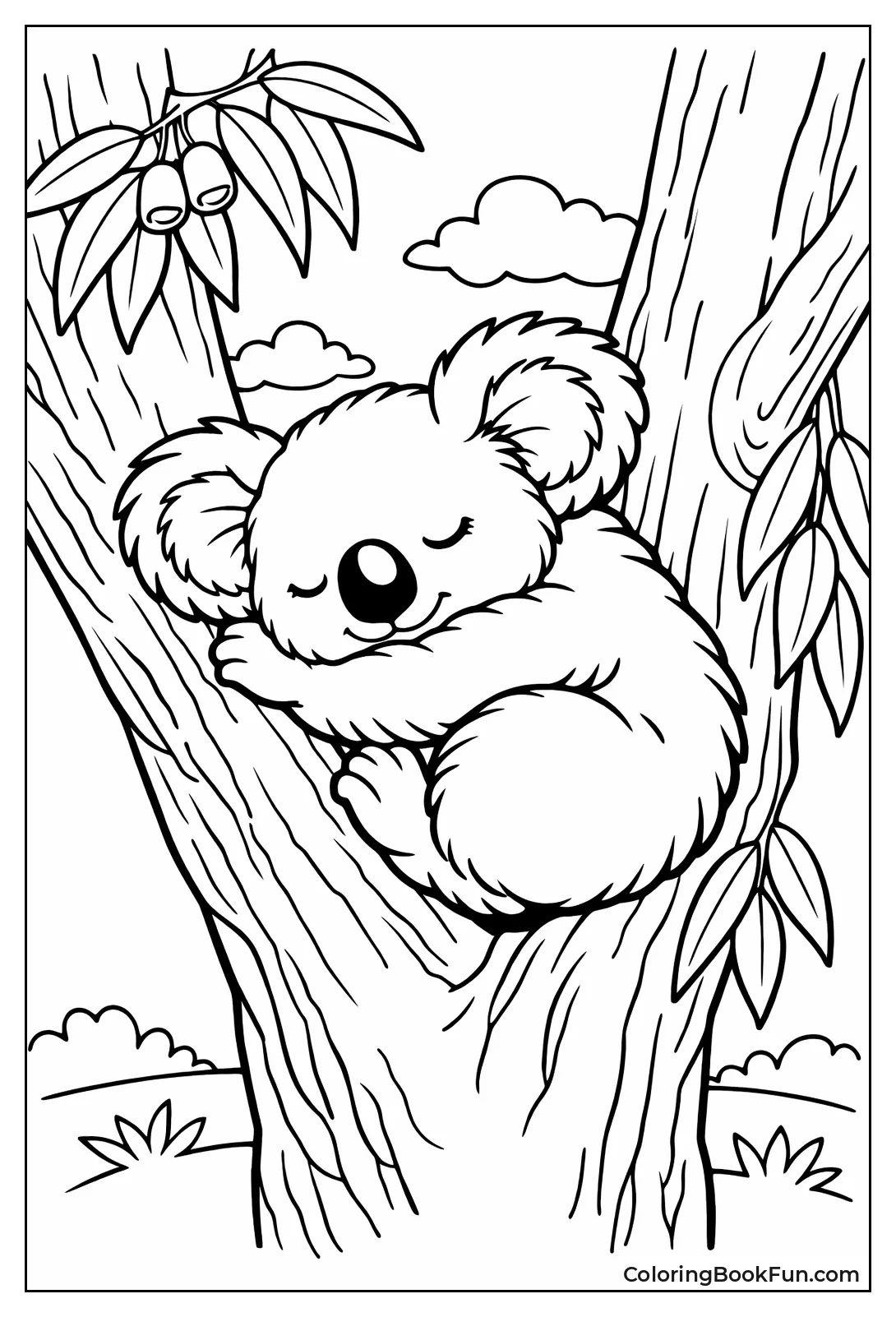 Sleeping Koala in Tree Fork