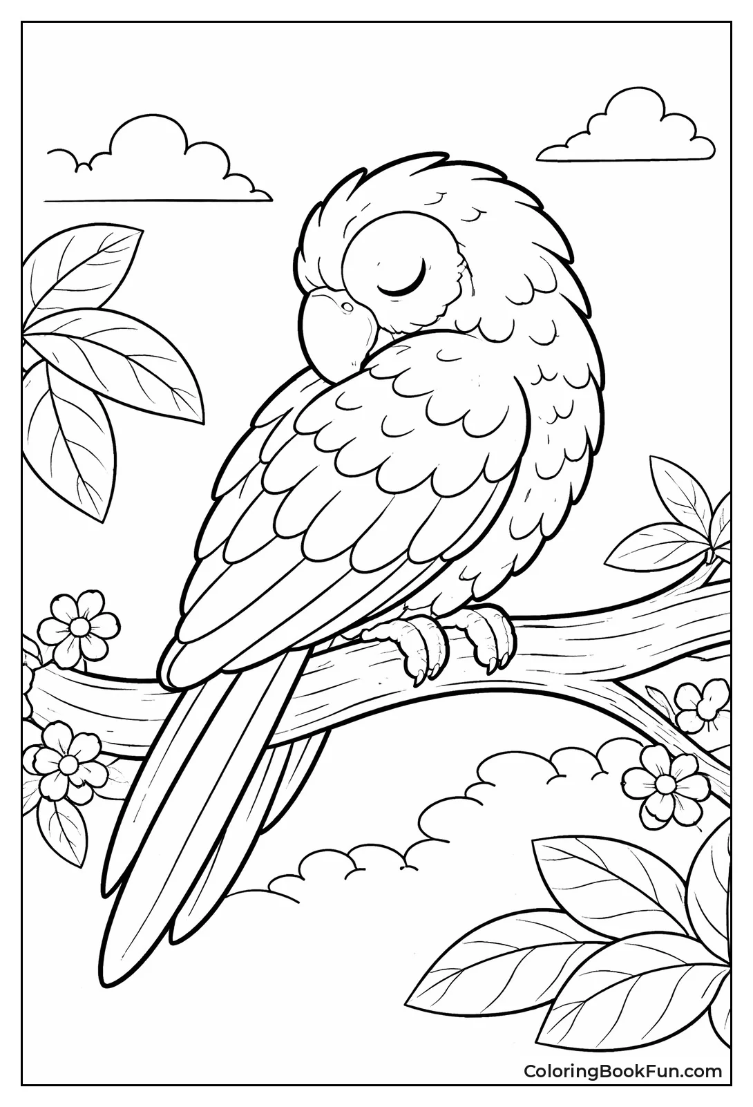 Sleeping Parrot Tucked In