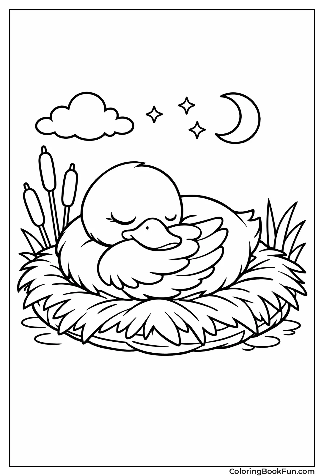 Sleeping Duck on Nest