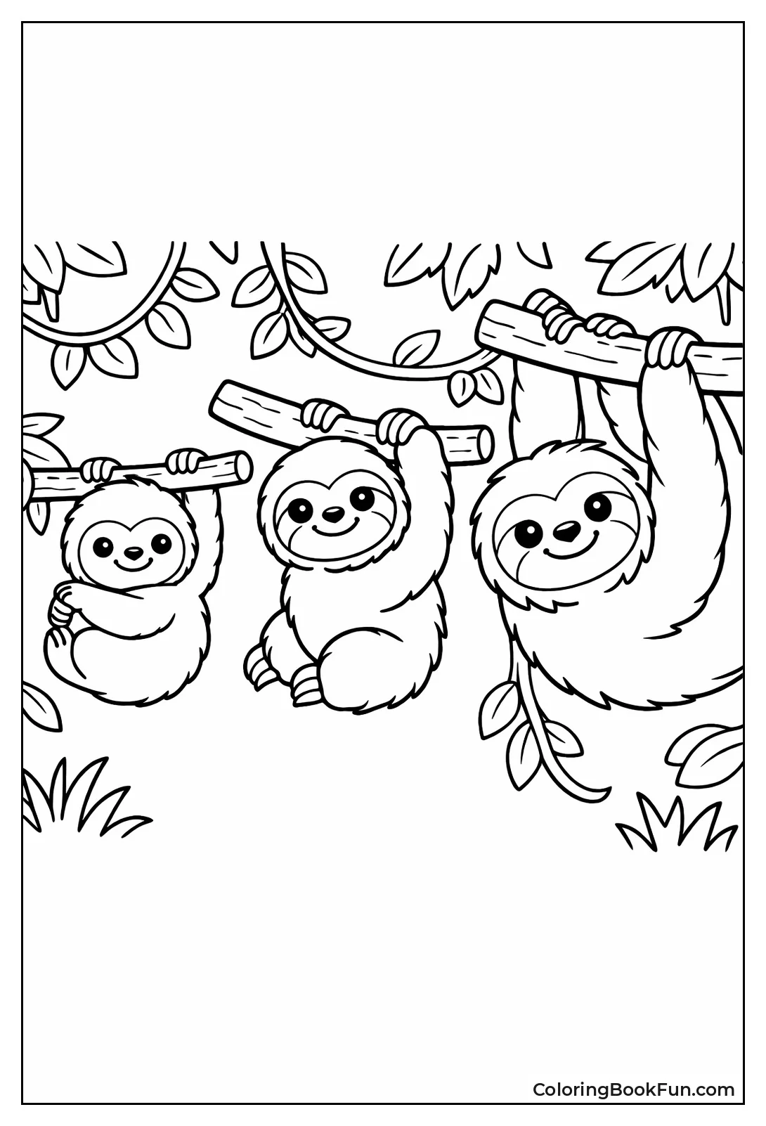 Sloth Baby to Adult Stages