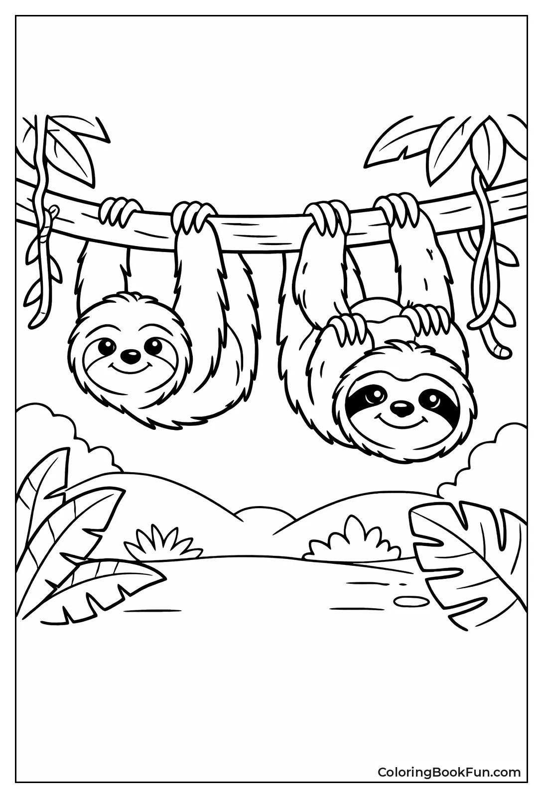 Two-Toed and Three-Toed Sloths