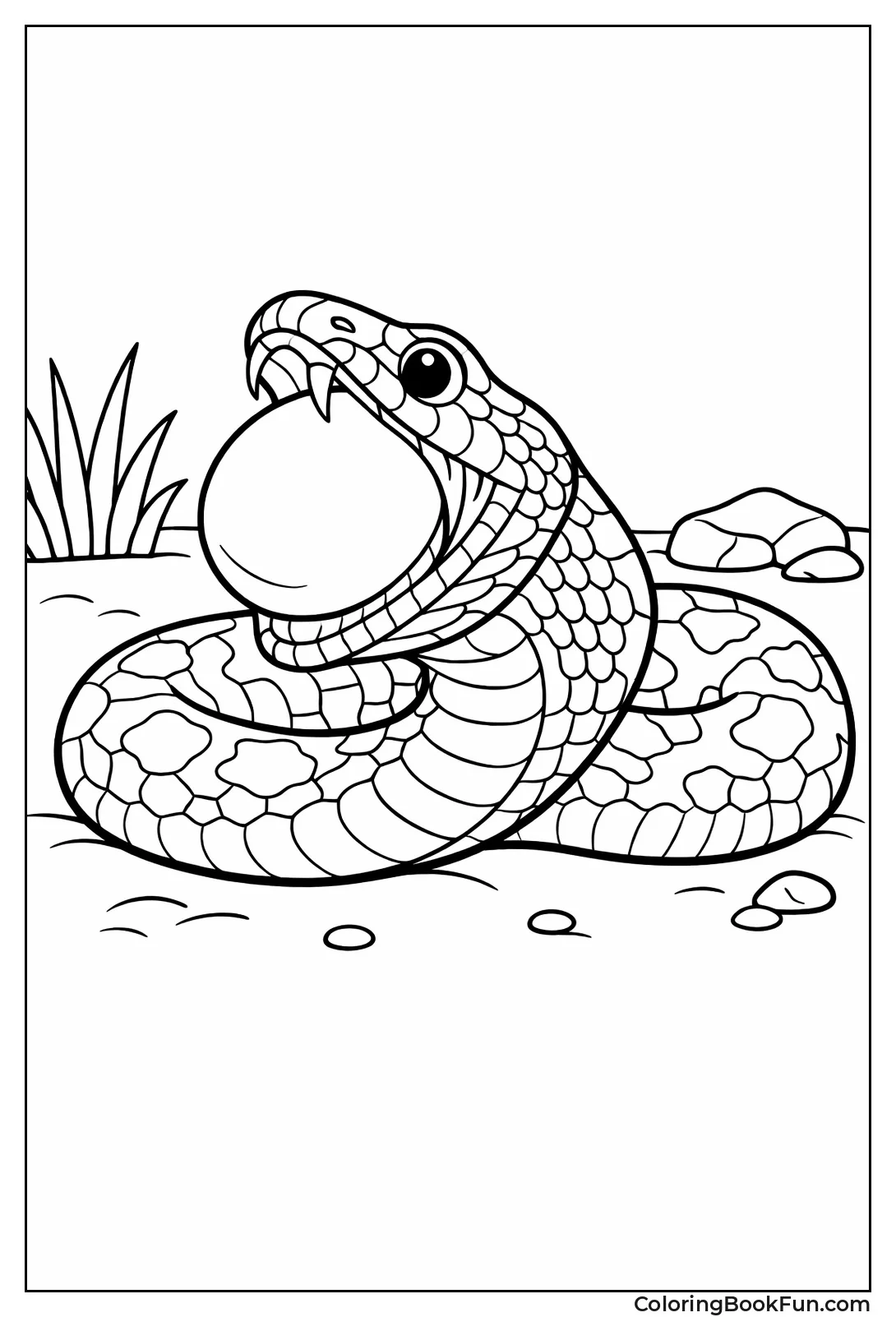 Snake Swallows Bird Egg