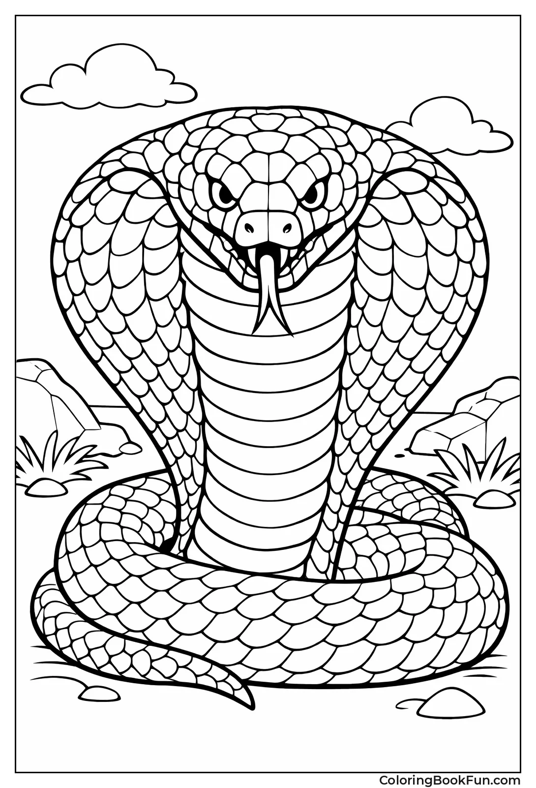 King Cobra Wide Hood