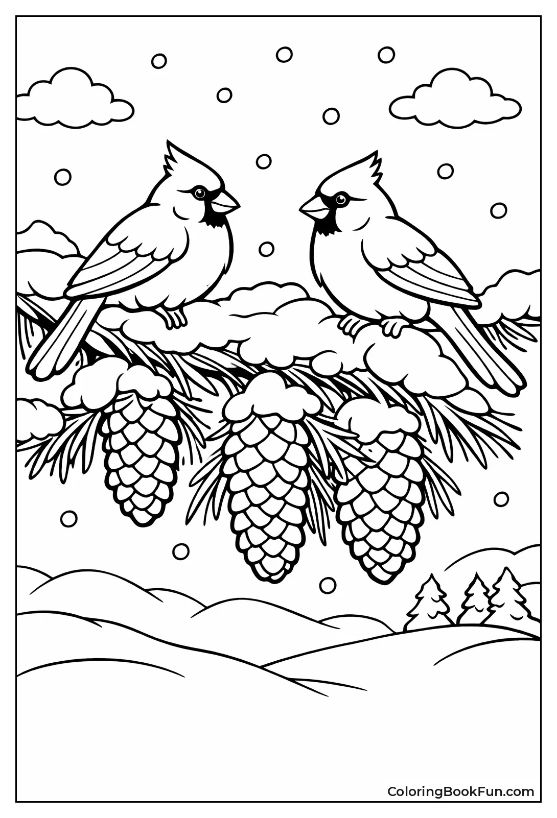 Cardinals on Pine Branch