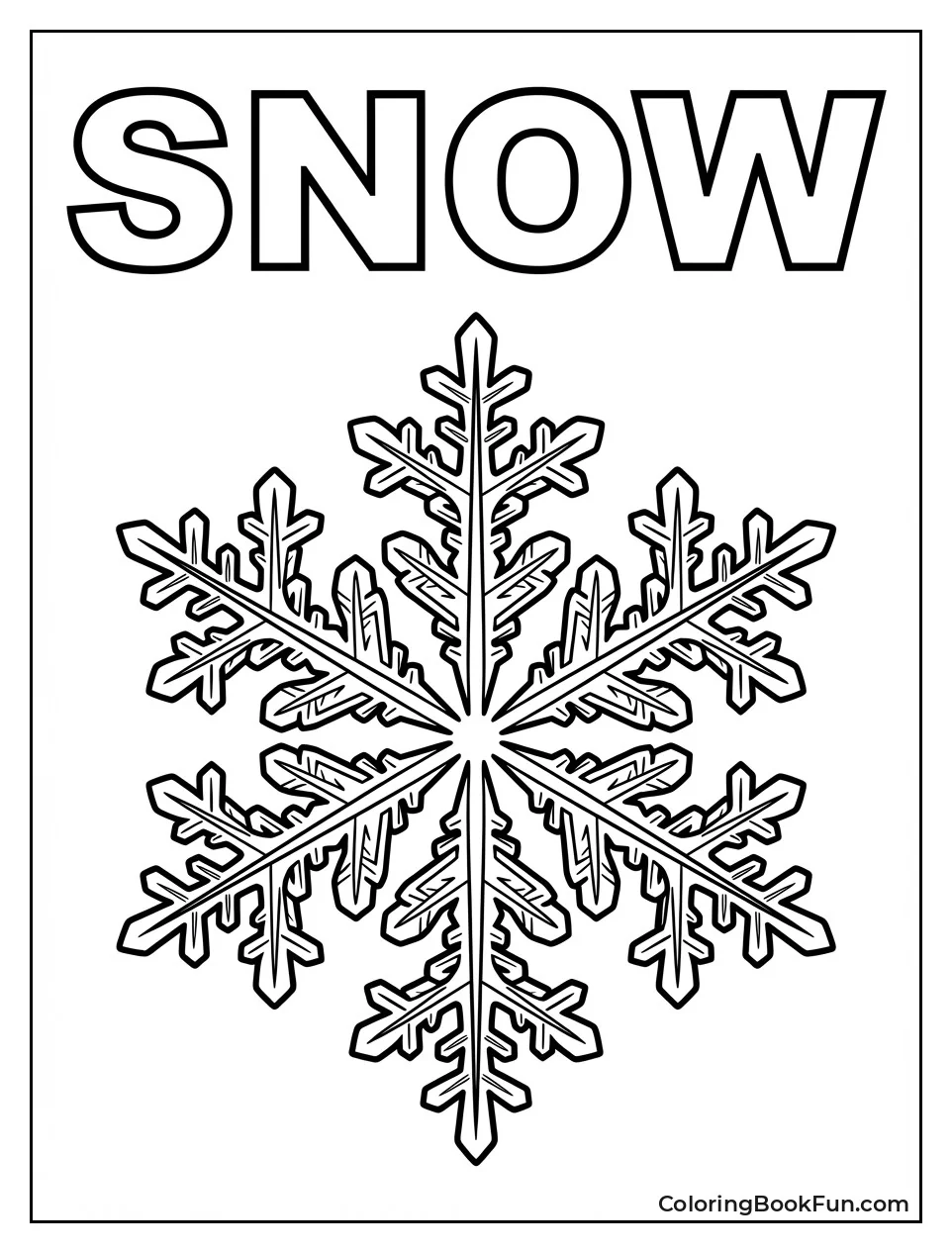 Detailed Snowflake Crystal