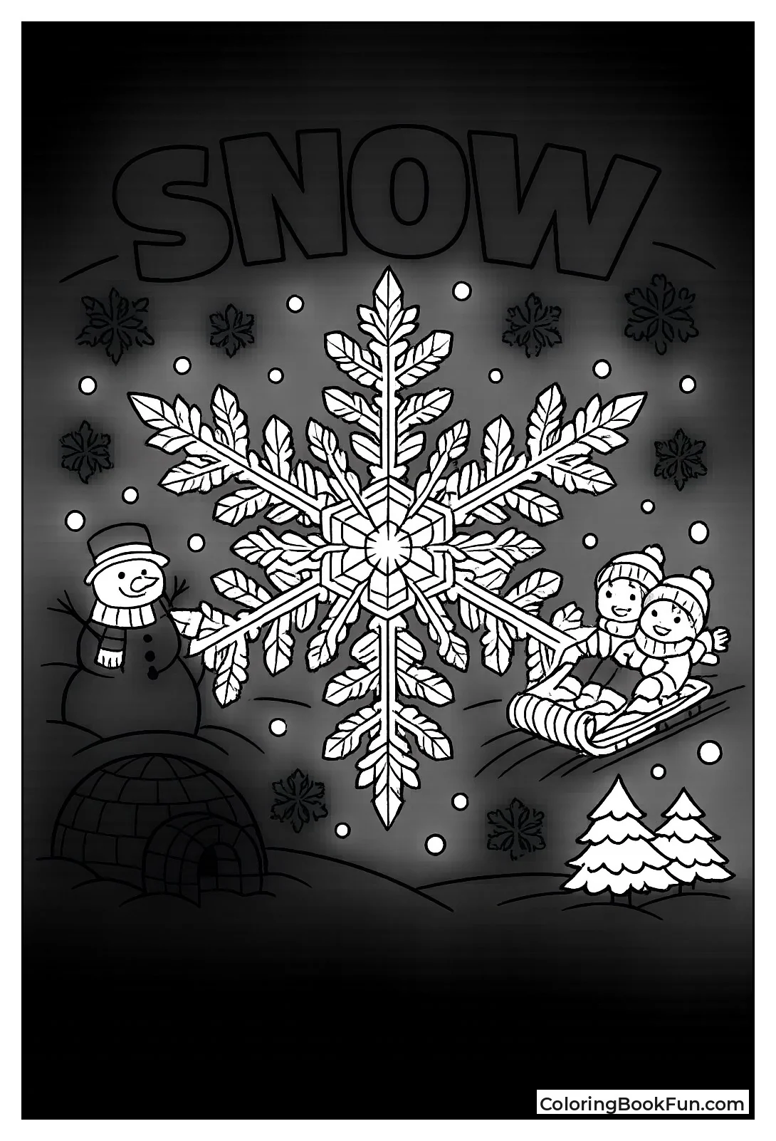 Detailed Snowflake Crystal