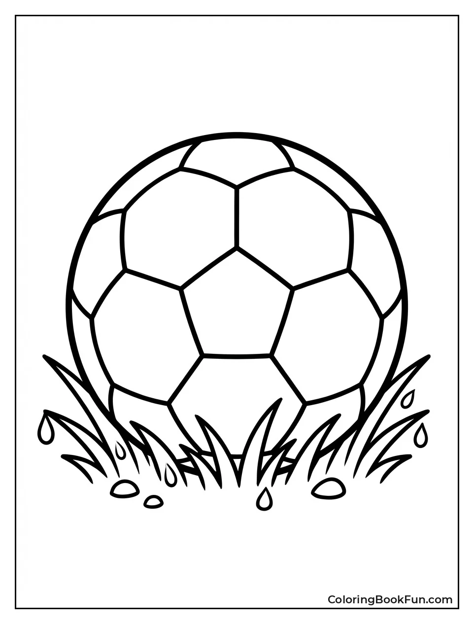 Soccer Ball on Dewy Grass