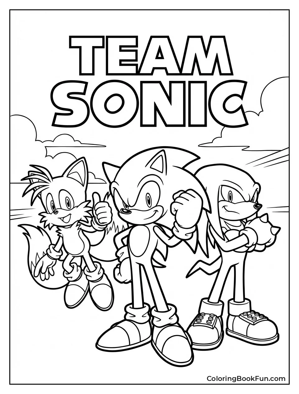 Sonic Tails Knuckles Hero Pose