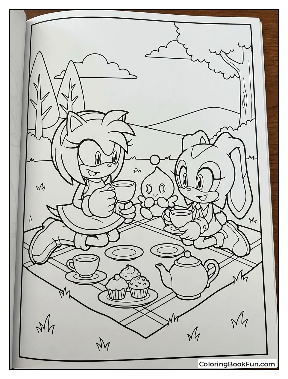 Amy Picnic with Friends