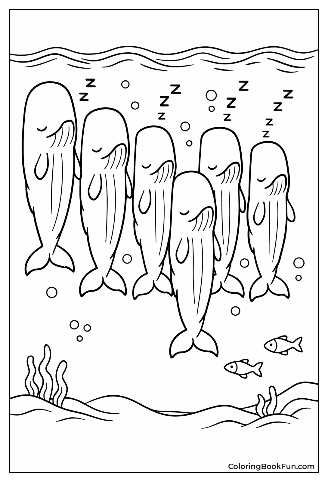 Sleeping Sperm Whales