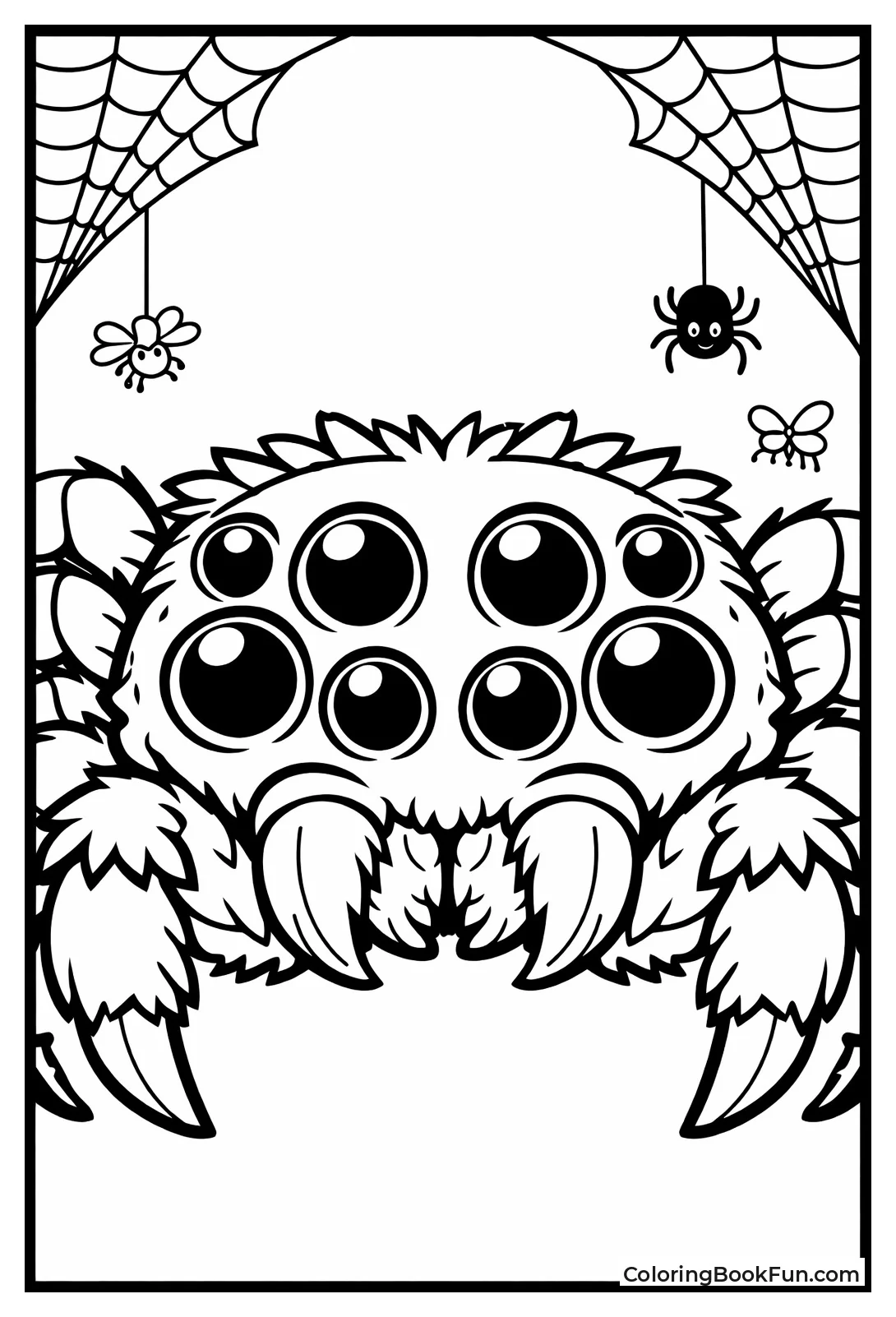 Spider Gazes with Eight Eyes