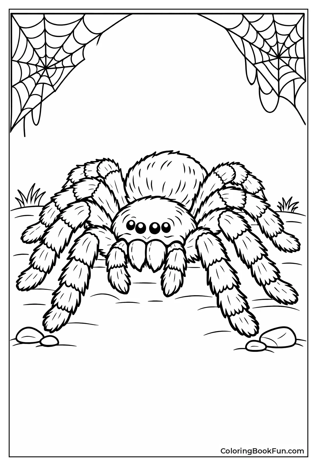Fuzzy Tarantula with Hairy Legs