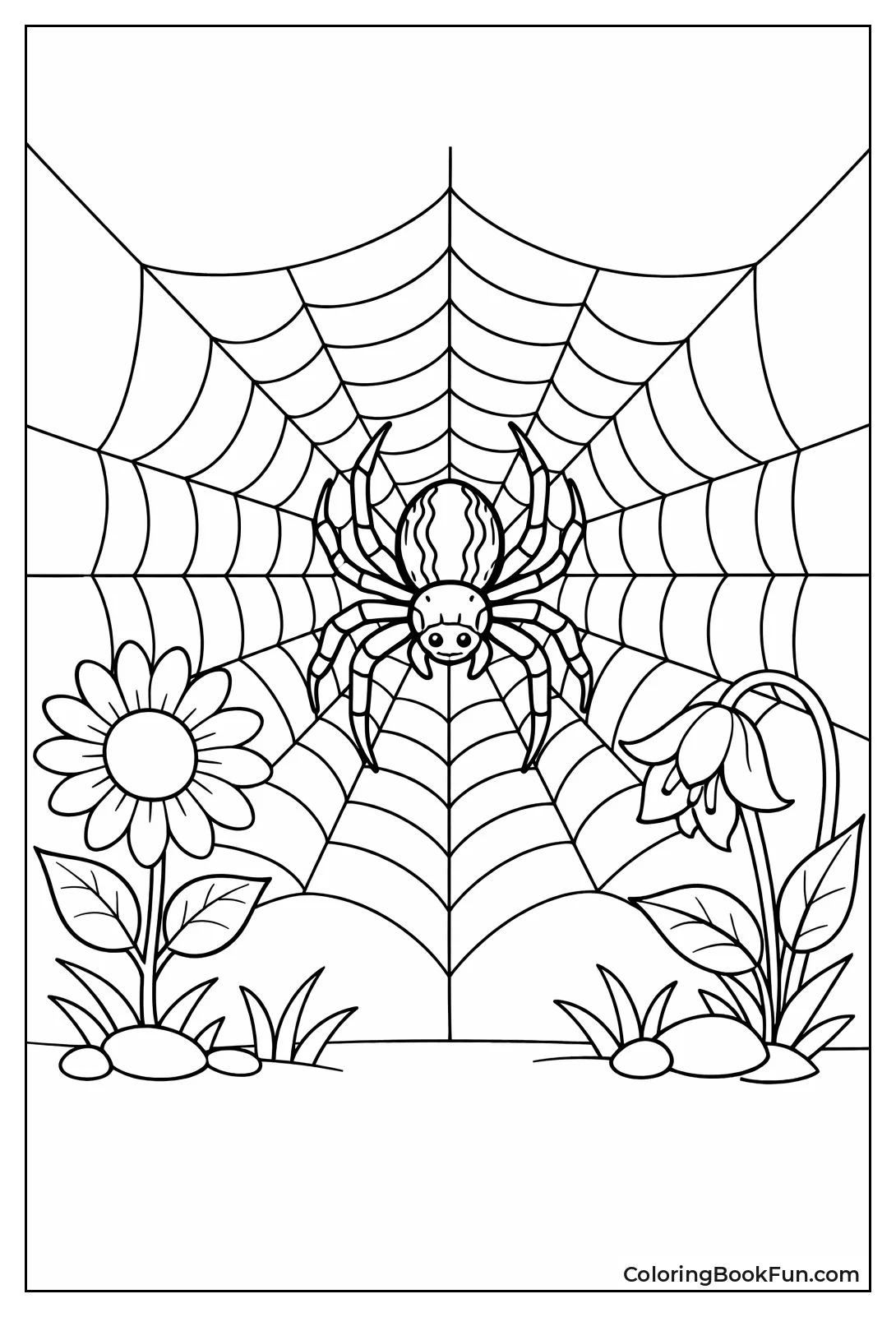 Orb Weaver Guards Garden Web