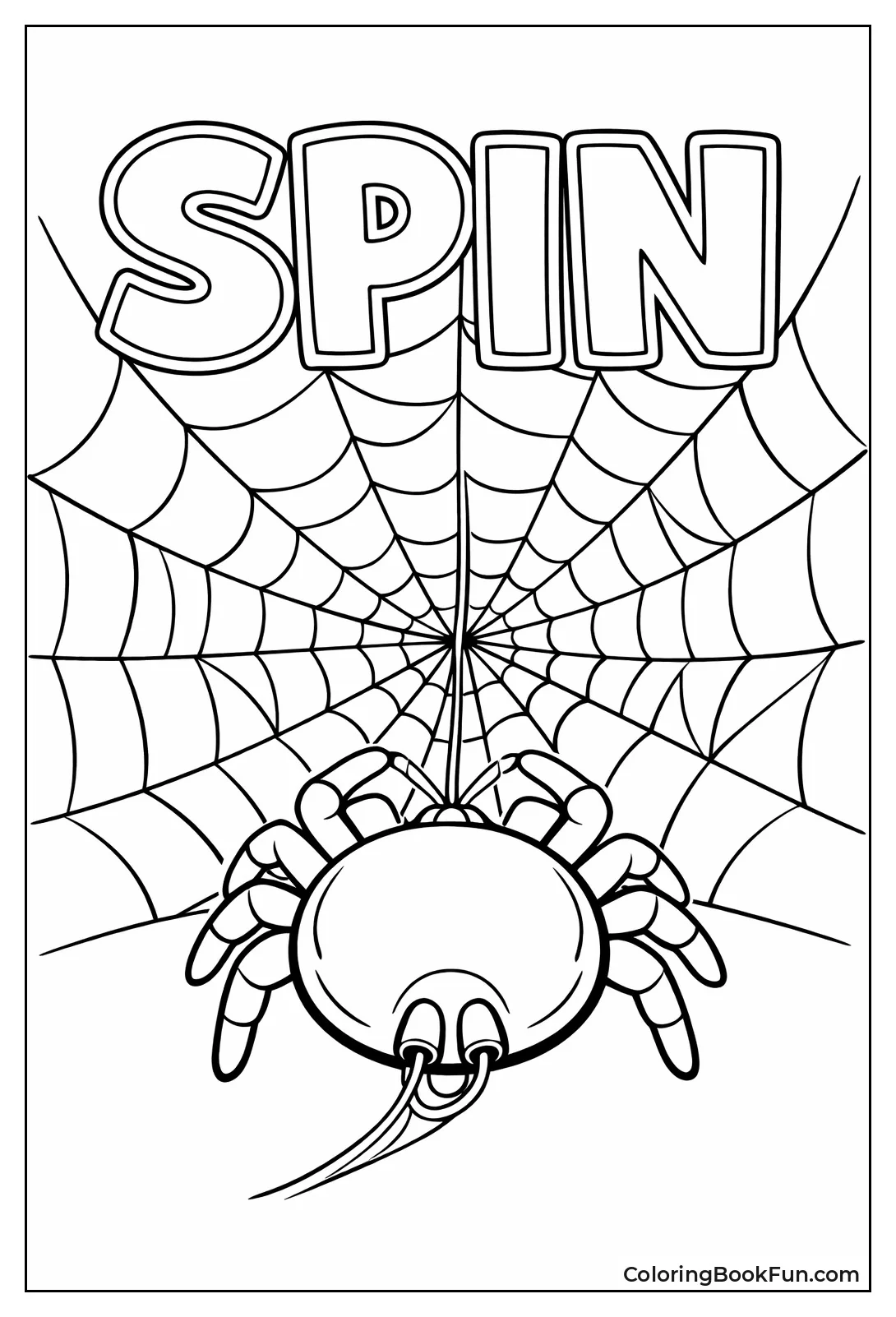 Spider Spins Geometric Silk Web