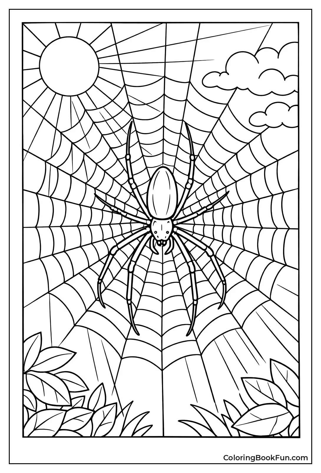 Golden Web Glows in Sun