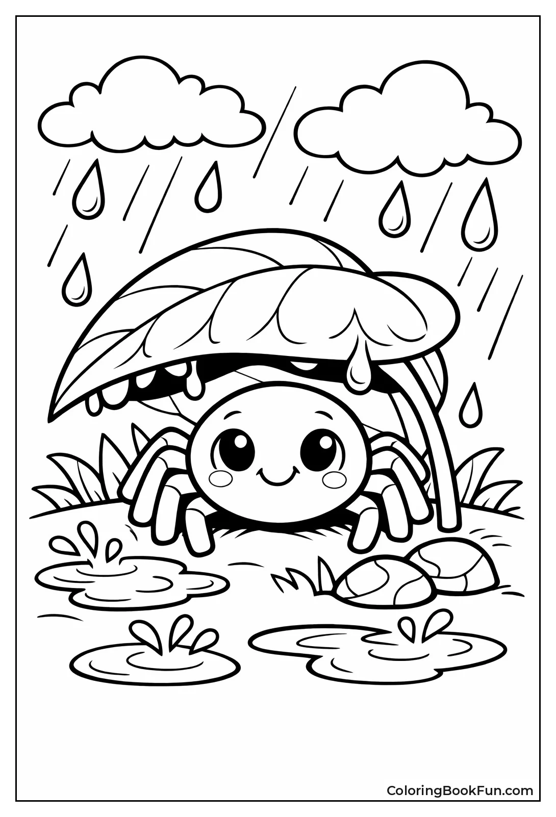 Spider Shelters under Rainy Leaf