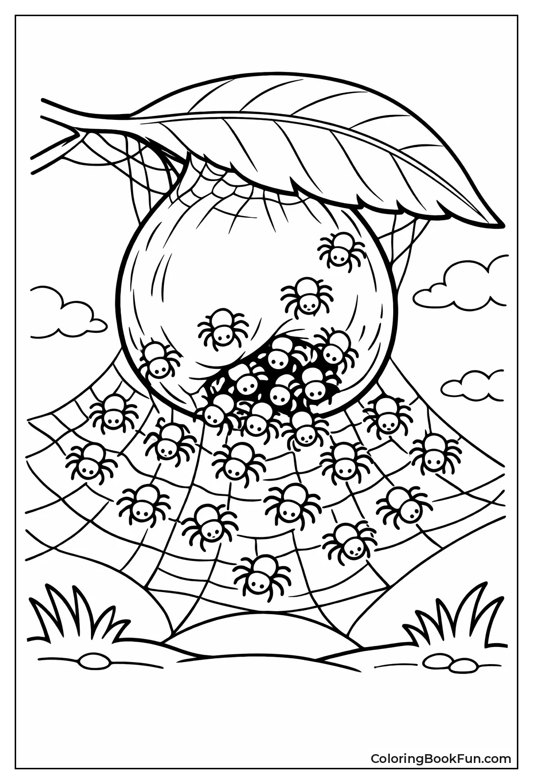 Spiderlings Emerge from Egg Sac