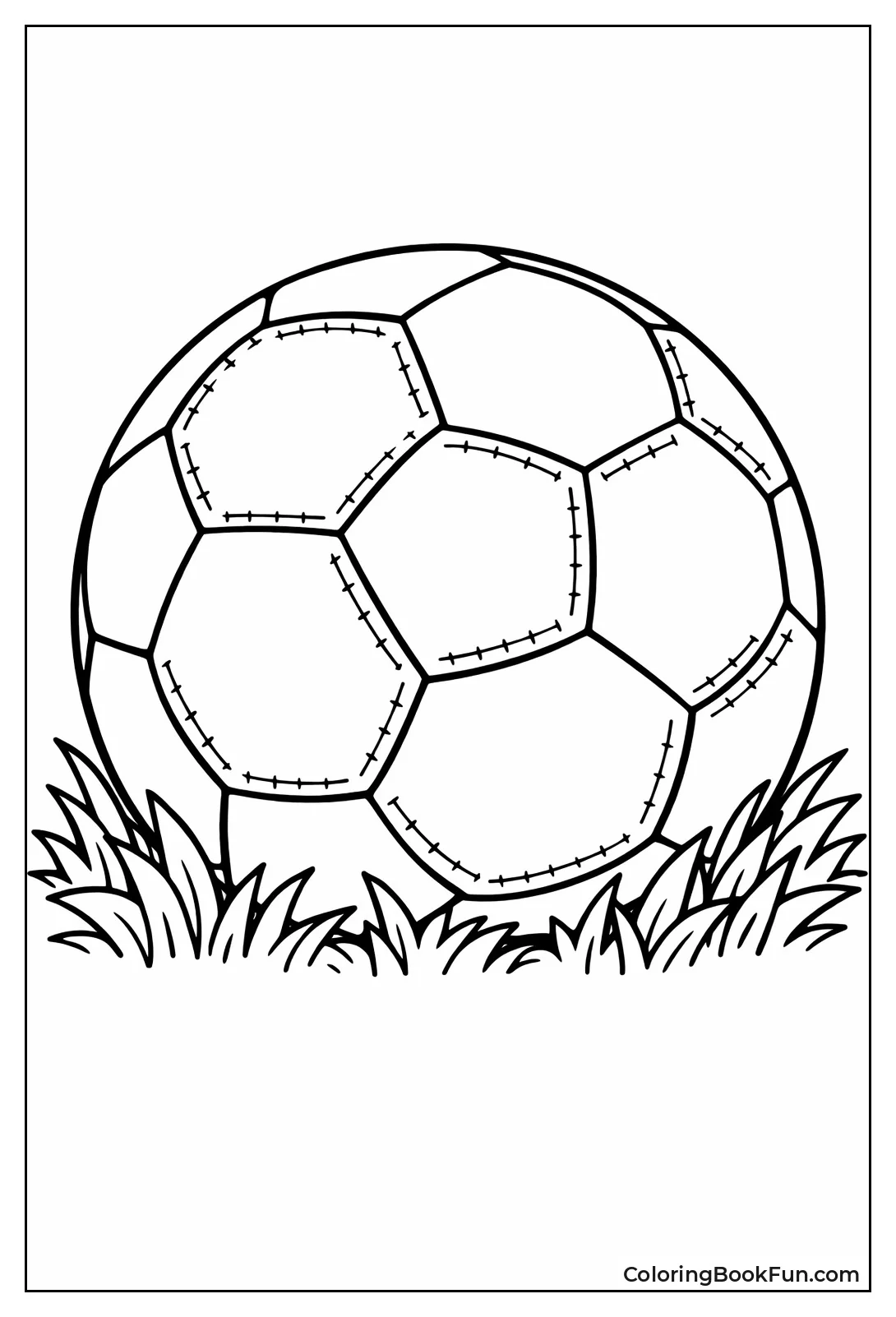 Detailed Soccer Ball Closeup