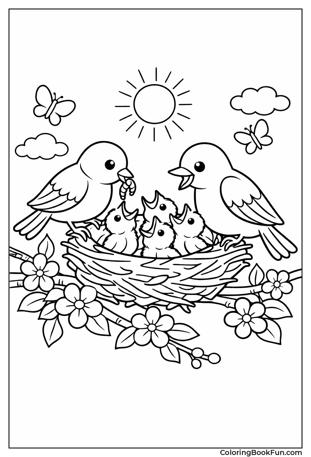 Birds Feeding Nest Chicks