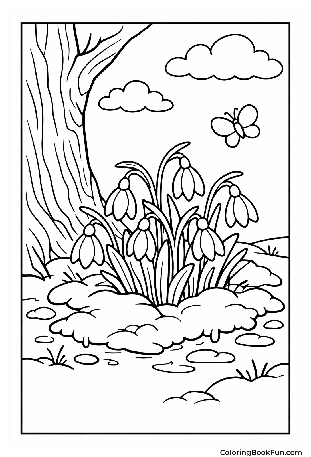 Snowdrops through Melting Snow