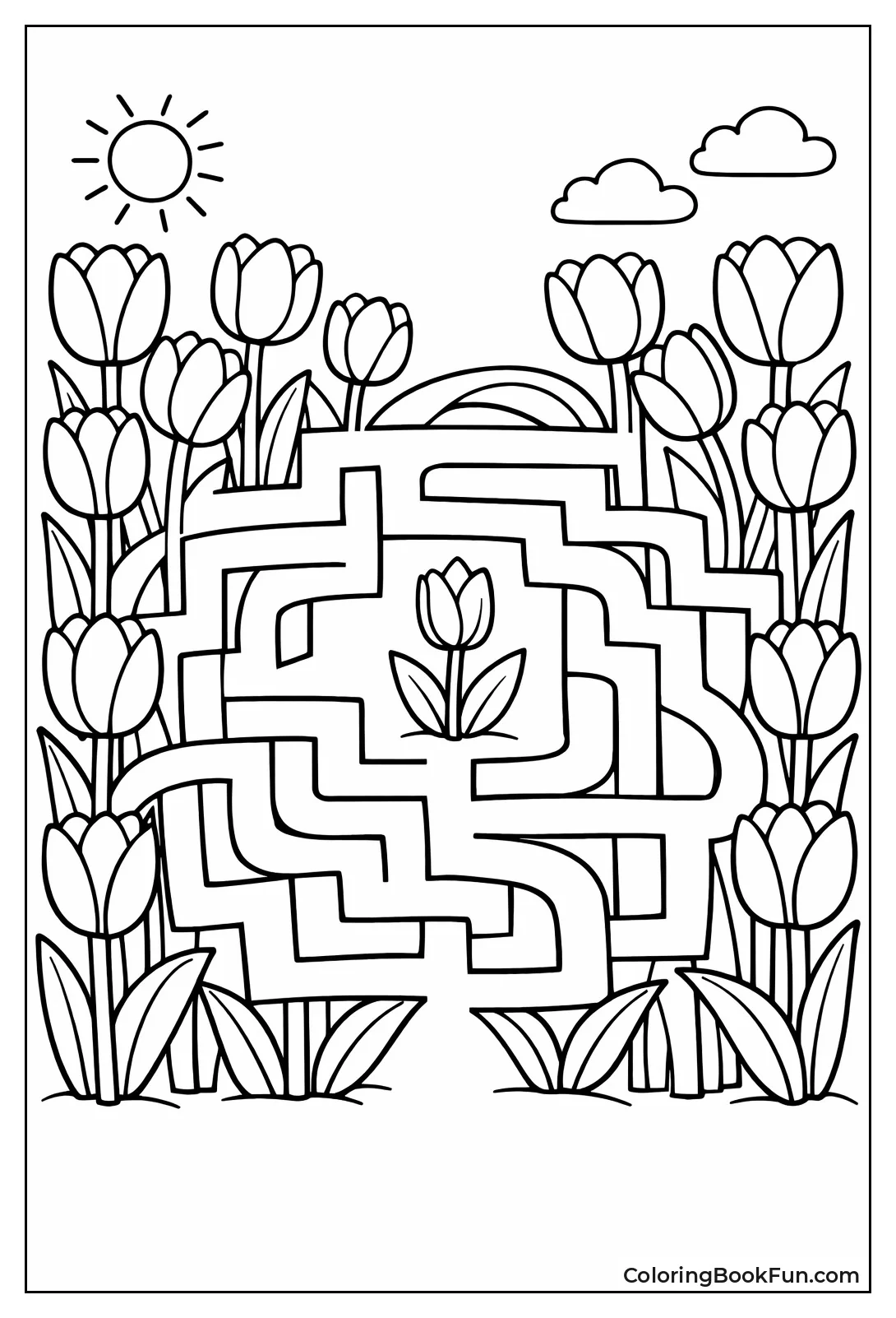 Tulip Stems Form Maze
