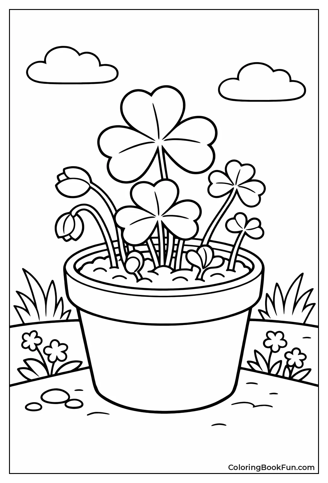 Pot of Sprouting Shamrock