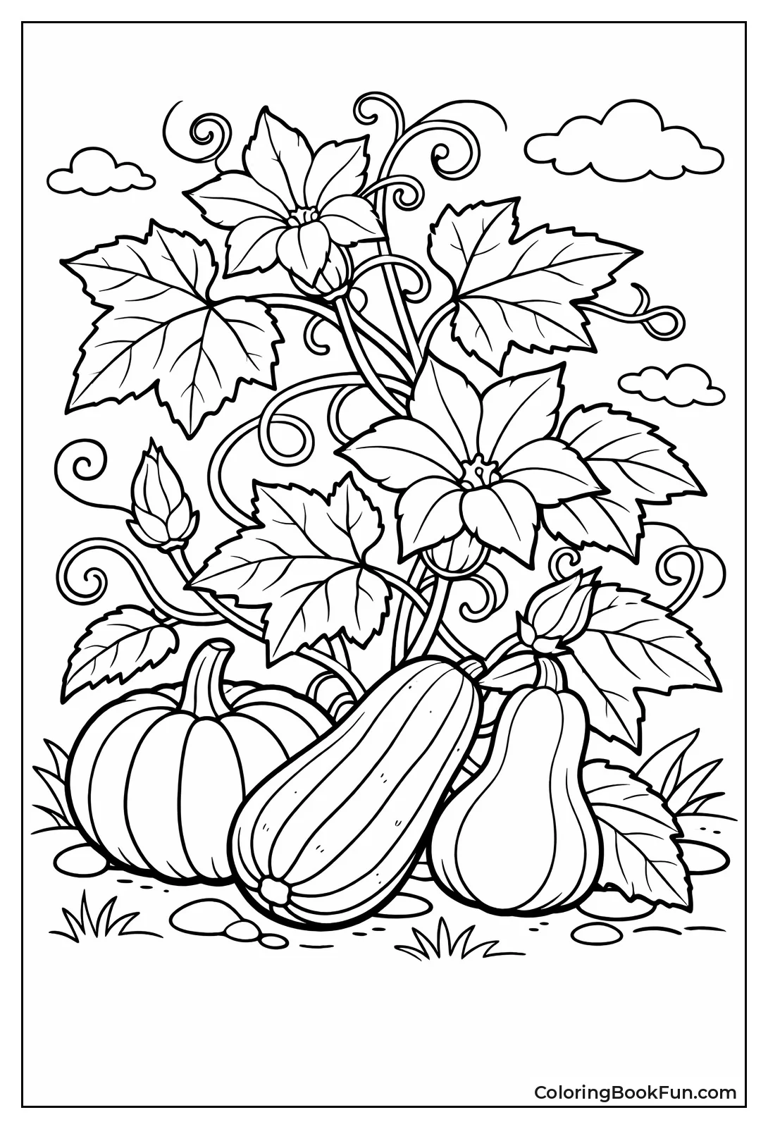 Squash Vine with Big Fruits