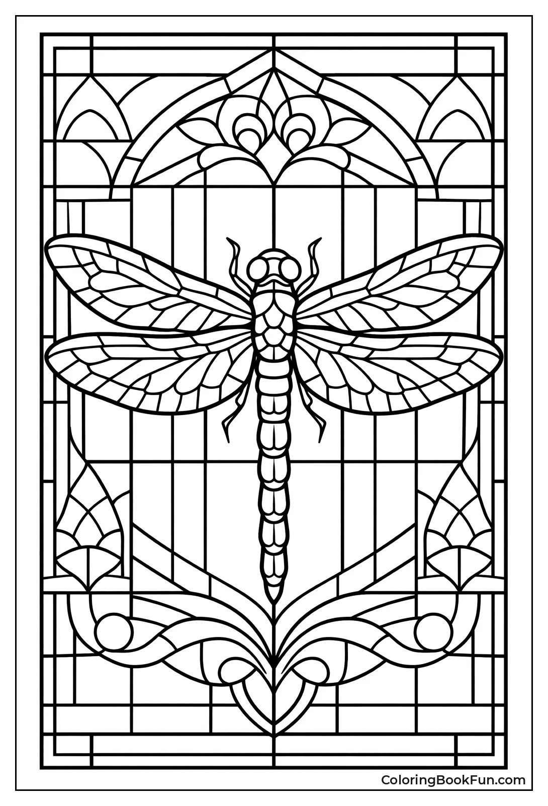 Dragonfly Wings Spread Wide