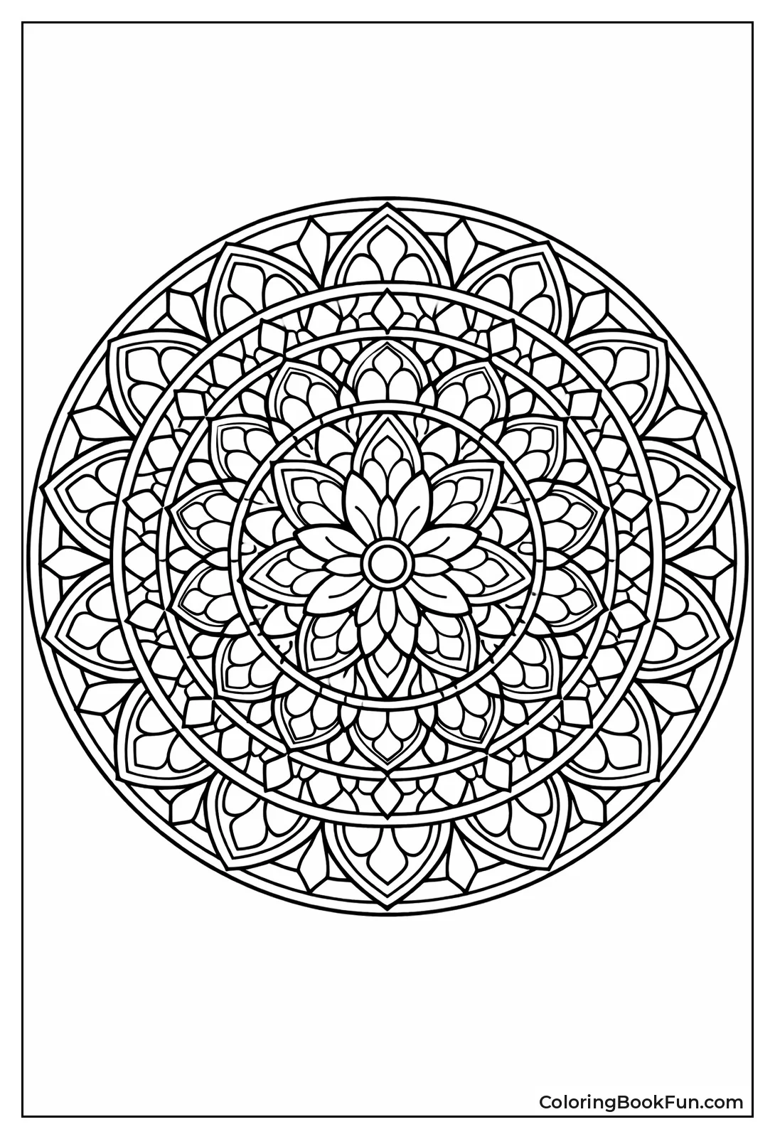 Layered Rings Form Mandala