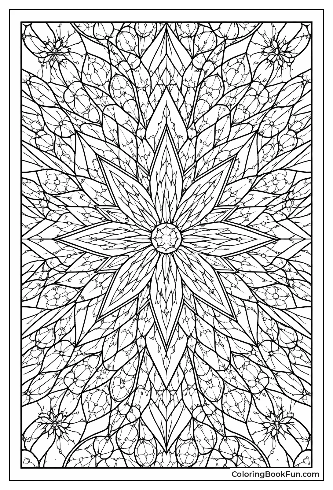 Stars Explode in Cosmos