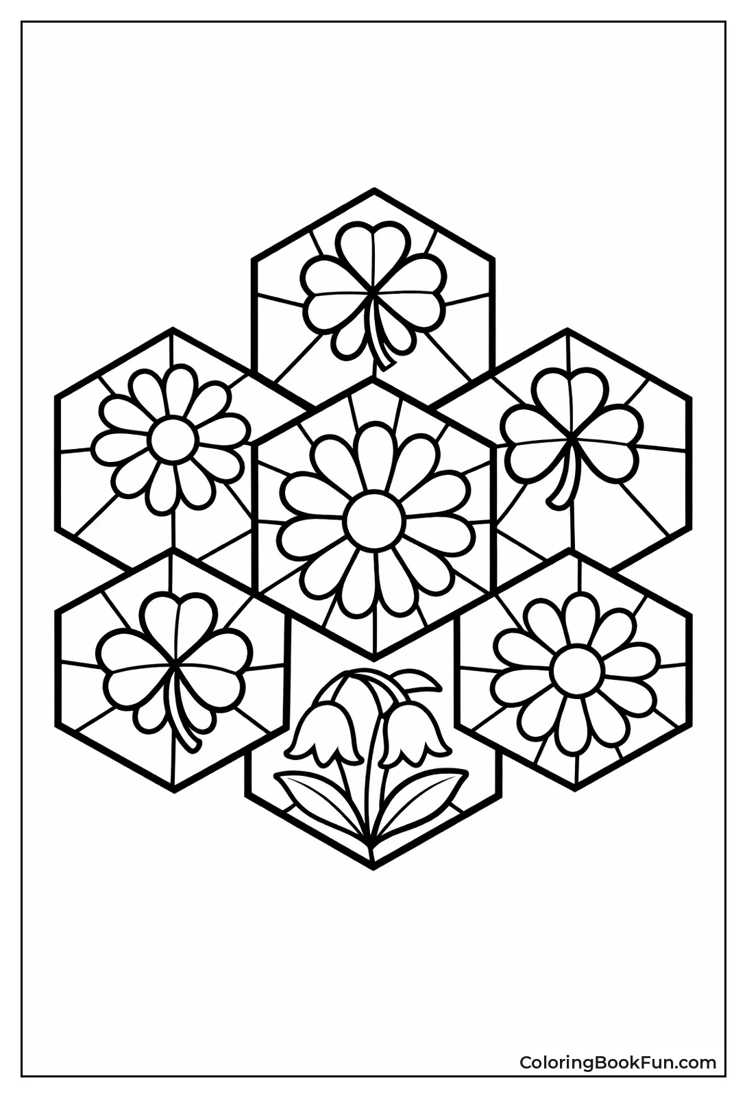 Honeycomb Holds Daisy Flowers