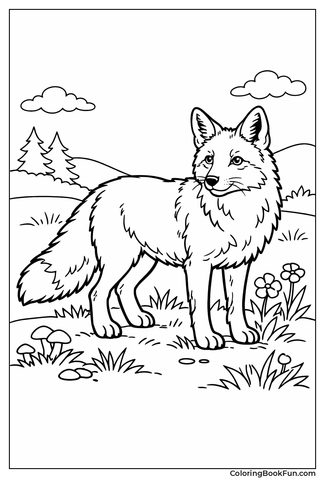 Red Fox Standing in Meadow